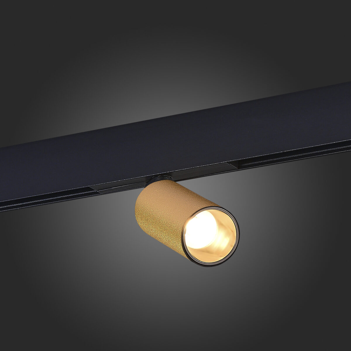 ST807.236.12 Магнитный трековый светильник Золотистый LED 1*12W 3000K 500Lm Ra>90 IP20 D50xH173 48VV SKYLINE 48 — изображение 2