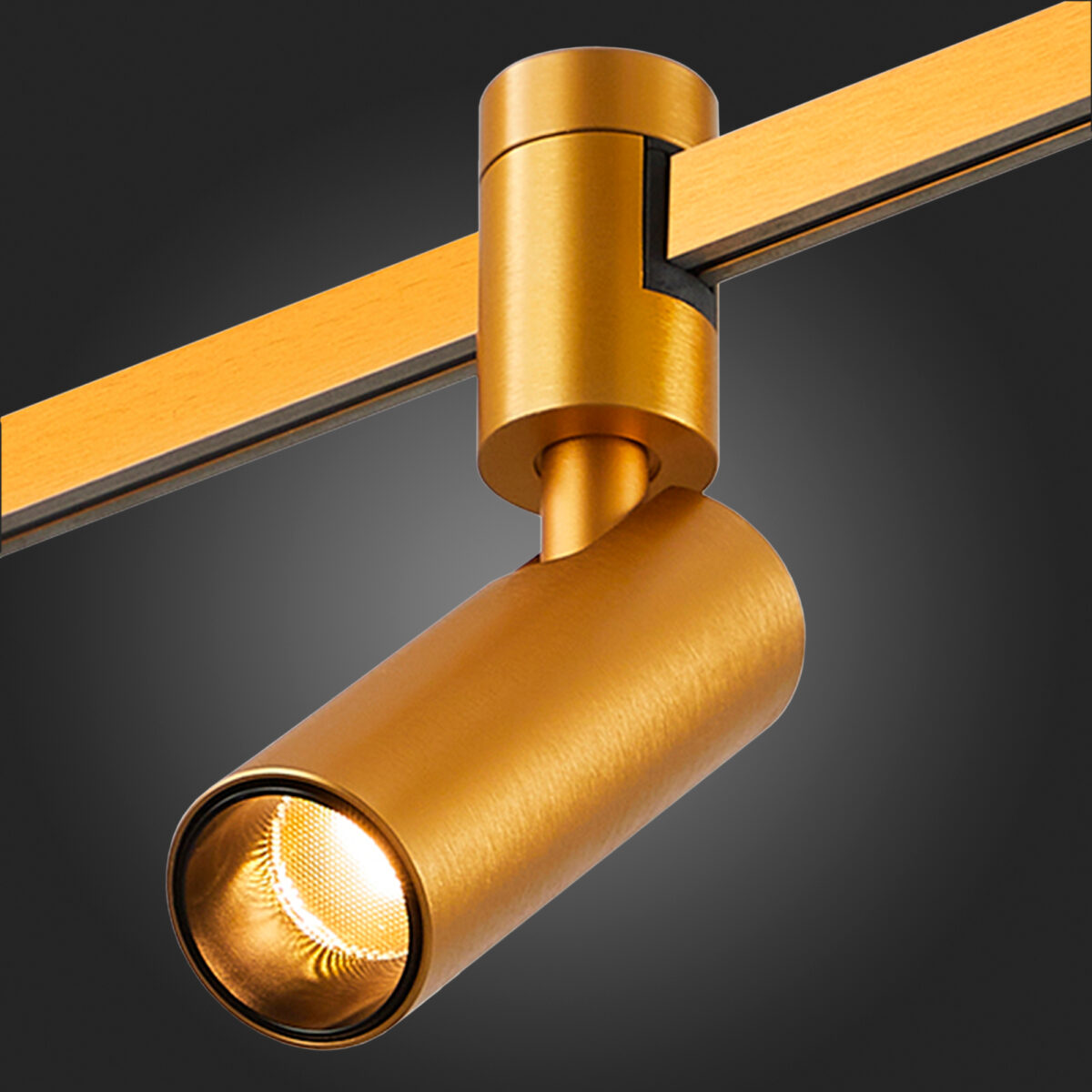 ST811.206.05 Магнитный трековый светильник FARM Золотистый LED 1*5W 3000K 350Lm Ra90 60 IP20 D35xH10 FARM — изображение 2