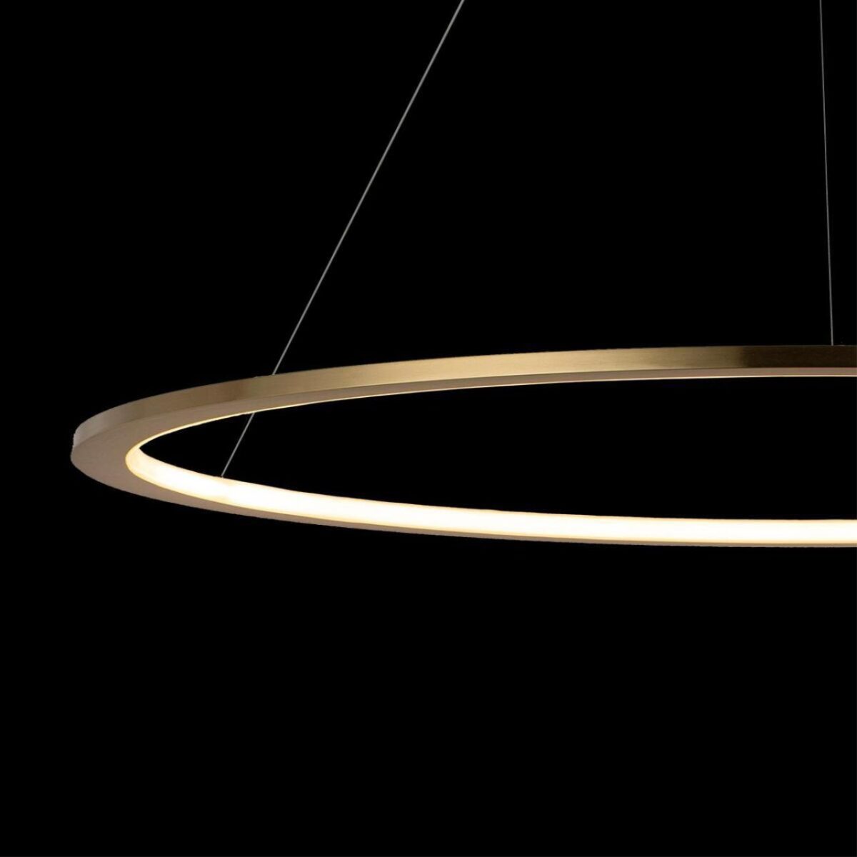 10014L Подвесной светильник LOFT IT Ring — изображение 6