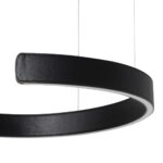 10025/400 Black Подвесной светильник LOFT IT Ring — изображение 5