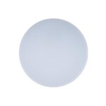 10002/24 White Потолочный светильник LOFT IT Axel — изображение 5