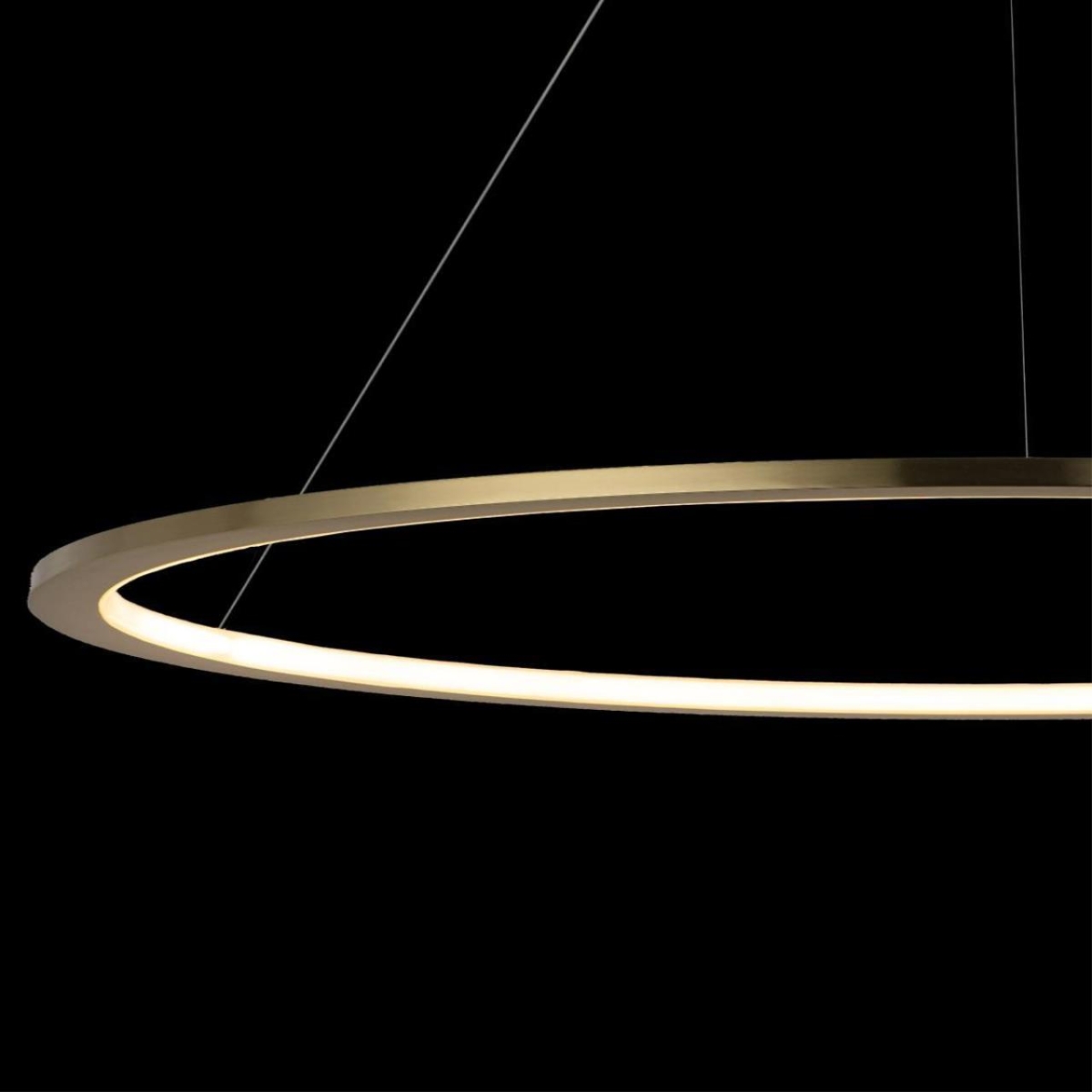 10014XXL Подвесной светильник LOFT IT Ring — изображение 6