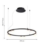 4320-10P, подвесная люстра, D590xH120/1710, LEDx36W, 3200LM, 4000K, CRI>90, included — изображение 2