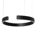 10025/400 Black Подвесной светильник LOFT IT Ring — изображение 3