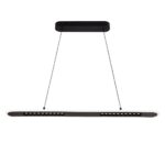 4473-2P, подвесная люстра, L1000xW100xH1000/1600, LEDx82W, 4460LM, 3000-6500K, included, remote control