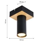 4431-1C, потолочный светильник, L100xW100xH155, 1xGU10x50W, excluded — изображение 3