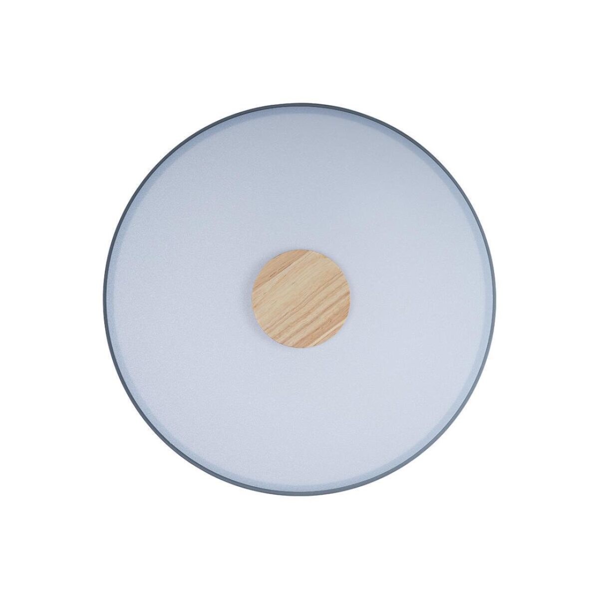 10003/24 Grey Потолочный светильник LOFT IT Axel — изображение 3