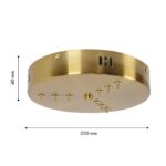 4591-220-9BR, потолочная чаша, D220xH40, цвет латунь — изображение 2