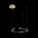 10025/400 Black Подвесной светильник LOFT IT Ring — изображение 2