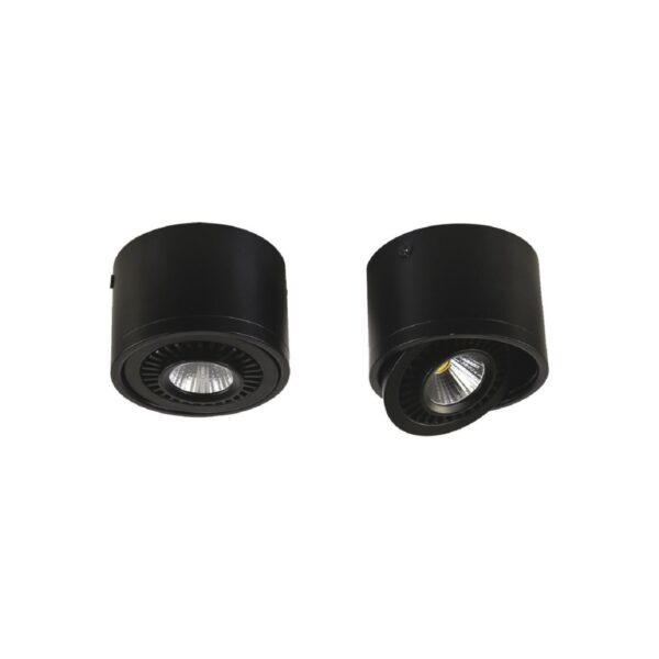 1779-1C, потолочный светильник, D112xH85, 1xLEDx12W, AC:100-240V, 960LM, RA>80, IP21, 960LM, 4000K, included