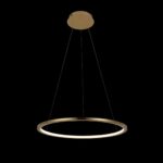 10014M Подвесной светильник LOFT IT Ring — изображение 2