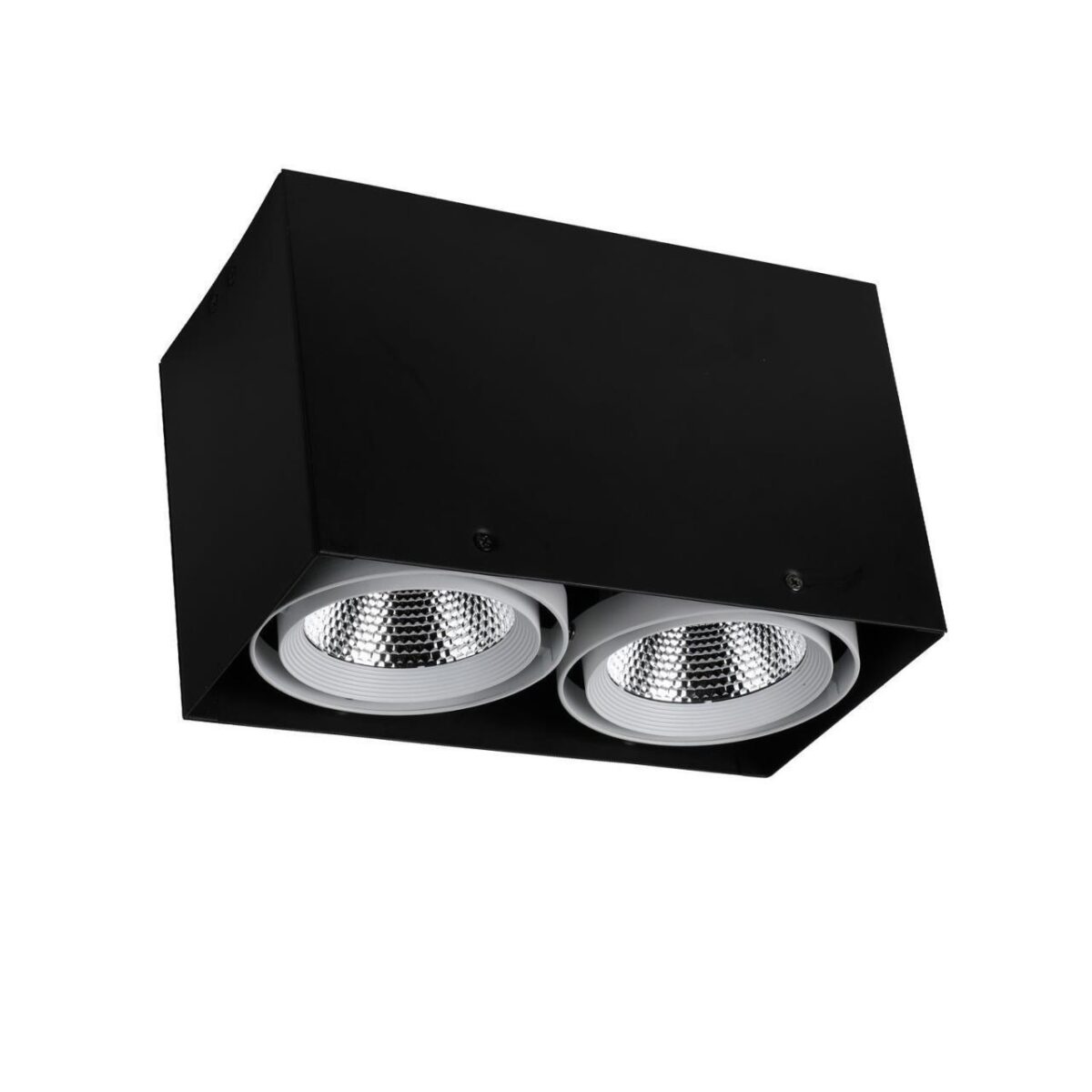 1987-2U, потолочный светильник, L265xW140xH160, COB 2xLEDx12W, RA>80, BEAM ANGLE:24°, 1920LM, 4000K, included 1987-2U, потолочный светильник, L265xW140xH160, COB 2xLEDx12W, RA>80, BEAM ANGLE:24°, 1920LM, 4000K, included — изображение 1