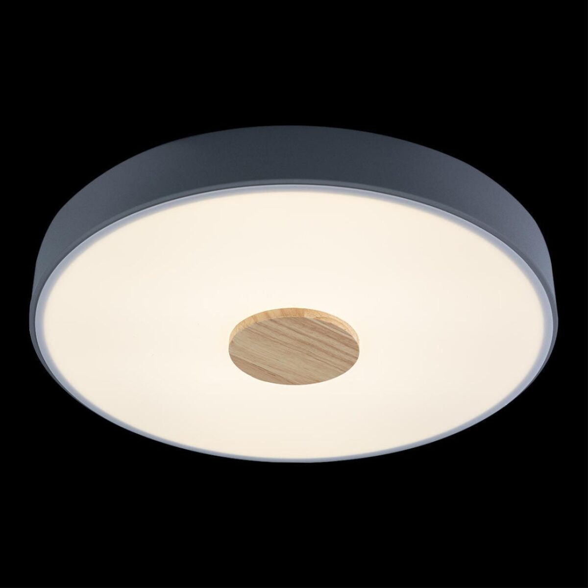 10003/24 Grey Потолочный светильник LOFT IT Axel — изображение 4