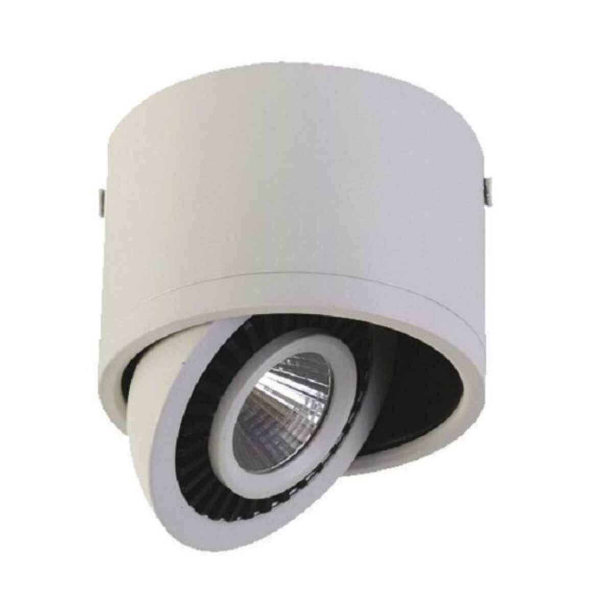 1776-1C, потолочный светильник, D112xH85, 1xLEDx12W, AC:100-240V, 960LM, RA>80, IP21, 960LM, 4000K, included — изображение 2