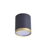 3081-1C, потолочный светильник, D68xH75, LEDx5W, 250LM, 4000K, IP20, included — изображение 2