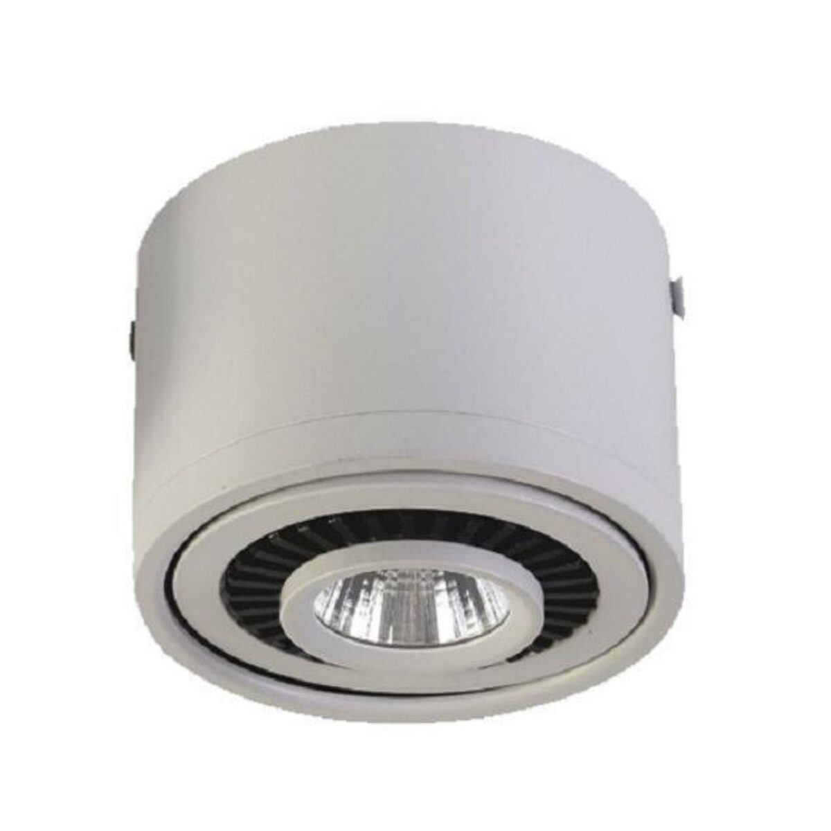 1776-1C, потолочный светильник, D112xH85, 1xLEDx12W, AC:100-240V, 960LM, RA>80, IP21, 960LM, 4000K, included — изображение 3