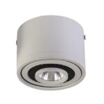 1776-1C, потолочный светильник, D112xH85, 1xLEDx12W, AC:100-240V, 960LM, RA>80, IP21, 960LM, 4000K, included — изображение 3