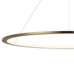 10014XXL Подвесной светильник LOFT IT Ring — изображение 5