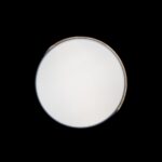 10004/36 Grey Потолочный светильник LOFT IT Axel — изображение 6