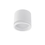 4213-1C, потолочный светильник, D85xH75, 1xGX53LEDx9W, IP20, excluded — изображение 2