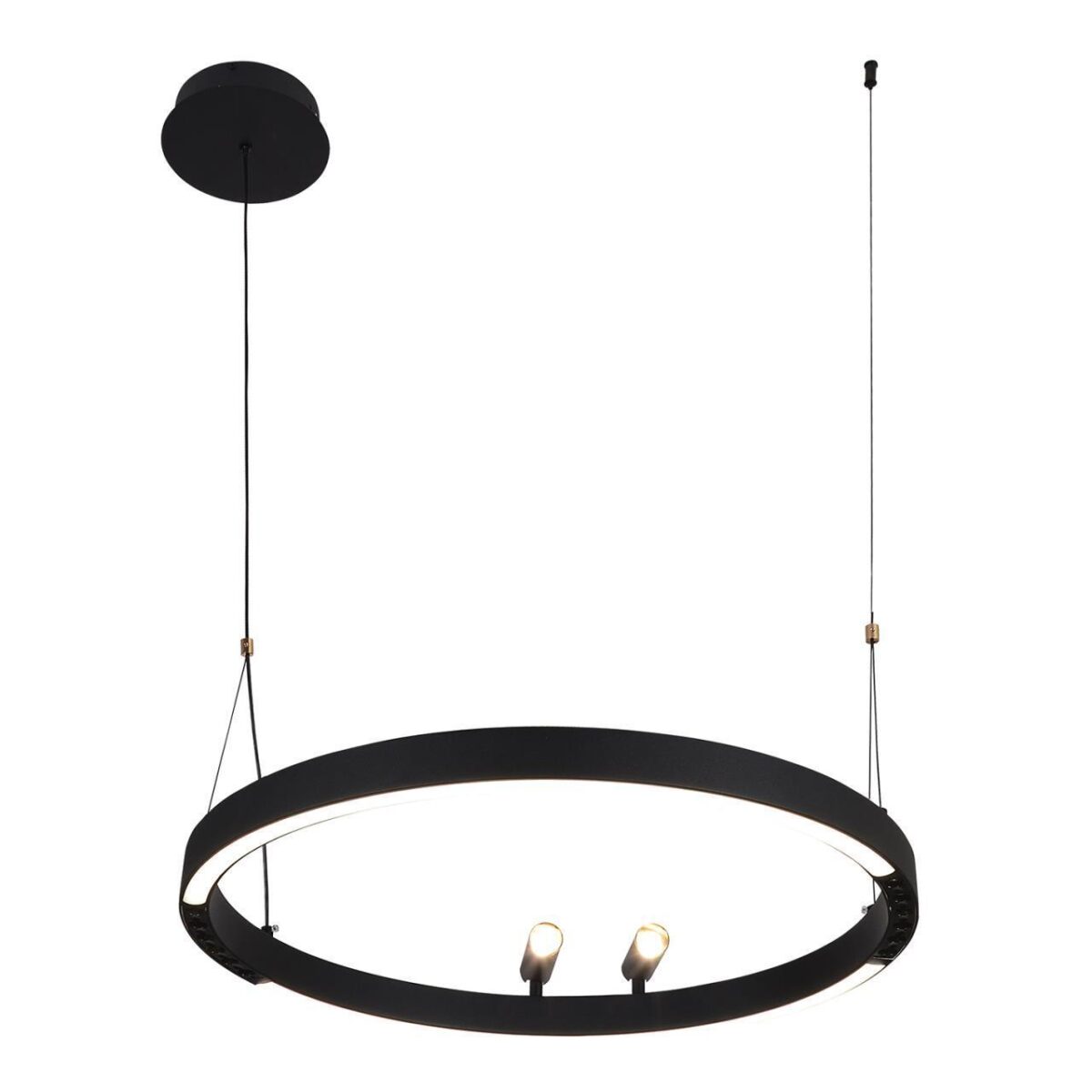 4474-1P, подвесная люстра, D600xH1000/1800, LEDx58W + 2xLEDx3W, 1860LM, 3000-6500K, included, remote control — изображение 1