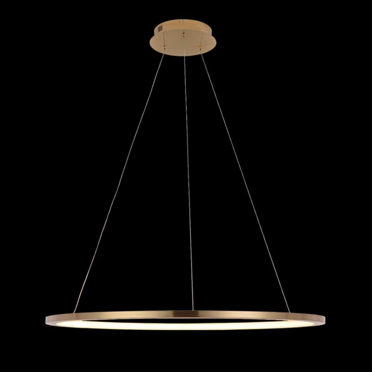 10014L Подвесной светильник LOFT IT Ring — изображение 2