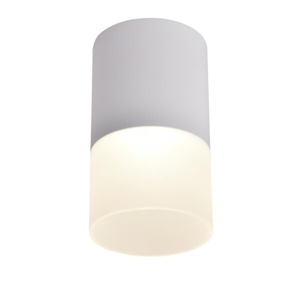 3069-1C, потолочный светильник, D64xH110, LEDx5W, 400LM, 4000K, IP20, included