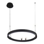 4474-1P, подвесная люстра, D600xH1000/1800, LEDx58W + 2xLEDx3W, 1860LM, 3000-6500K, included, remote control — изображение 2