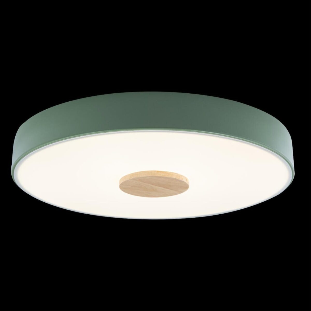 10003/24 Green Потолочный светильник LOFT IT Axel — изображение 2