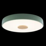 10003/24 Green Потолочный светильник LOFT IT Axel — изображение 2