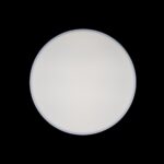 10002/24 White Потолочный светильник LOFT IT Axel — изображение 6