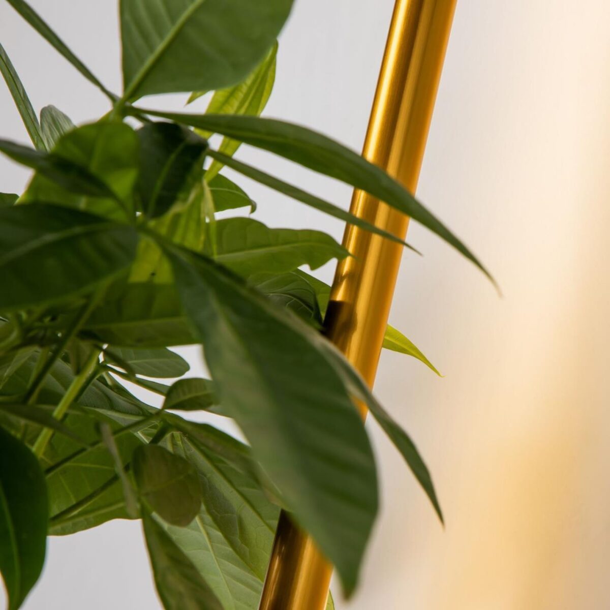 4050-1W, настенный светильник, D210xW120xH600, LEDx8W, 2700LM, 3000K, included — изображение 4