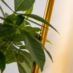 4050-1W, настенный светильник, D210xW120xH600, LEDx8W, 2700LM, 3000K, included — изображение 4