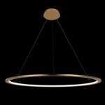 10014L Подвесной светильник LOFT IT Ring — изображение 4