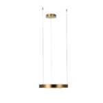 10013S Подвесной светильник LOFT IT Ring — изображение 3