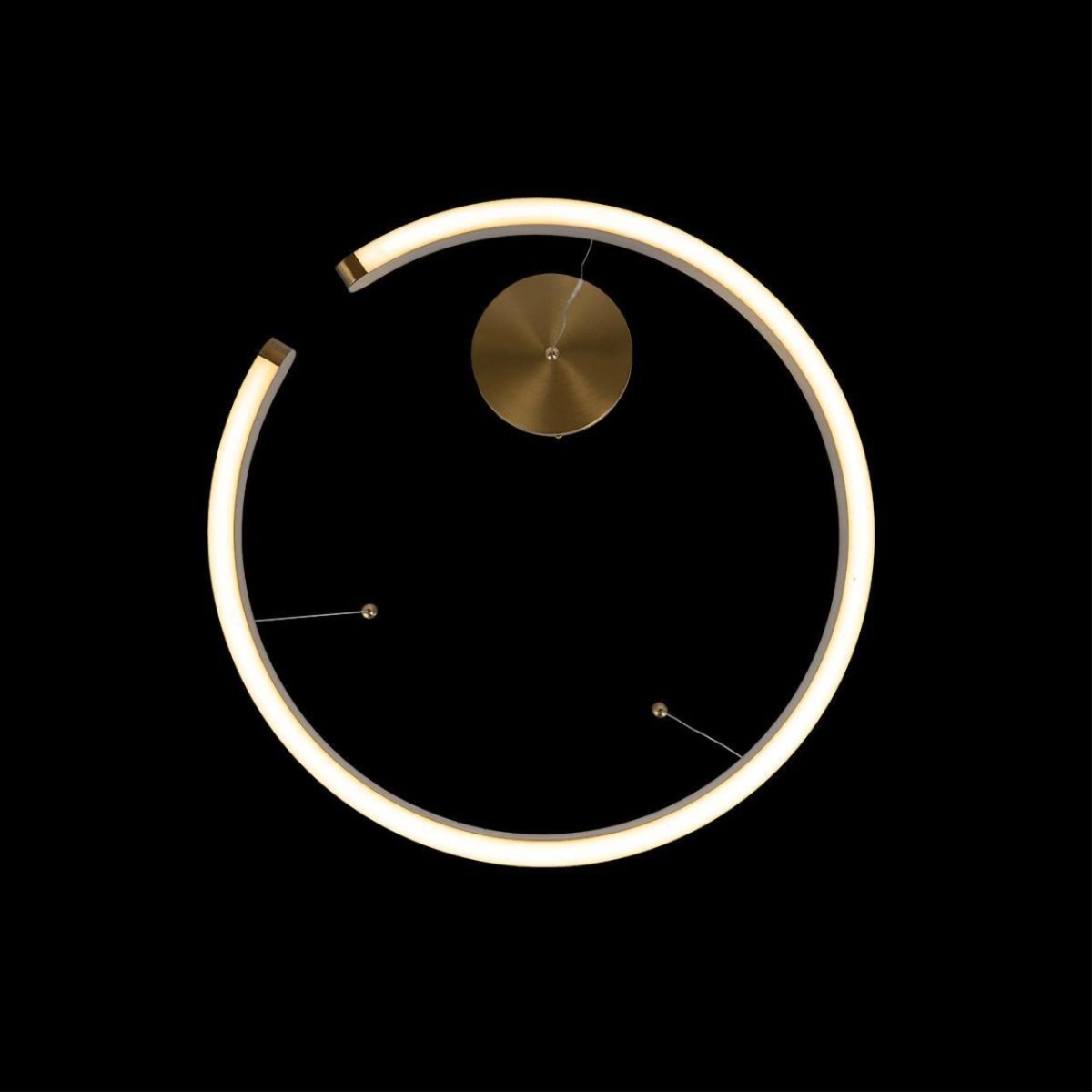 10013S Подвесной светильник LOFT IT Ring — изображение 4