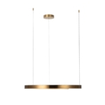 10013L Подвесной светильник LOFT IT Ring — изображение 3