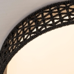 4750-4C, Потолочный светильник, D430xH100, LEDx25W, 1300LM, 3000/4000/6000K, included, remote control — изображение 5