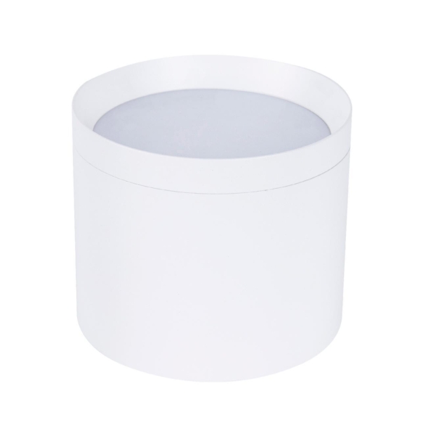 4708-1C, накладной светильник, D82xH73, 1xGX53LEDx15W, IP20, excluded