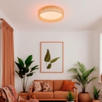 4749-4C, Потолочный светильник, D430xH100, LEDx25W, 1300LM, 3000/4000/6000K, included, remote control — изображение 7