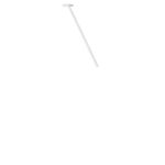 10359/500 White Потолочный светильник LOFT IT Cane