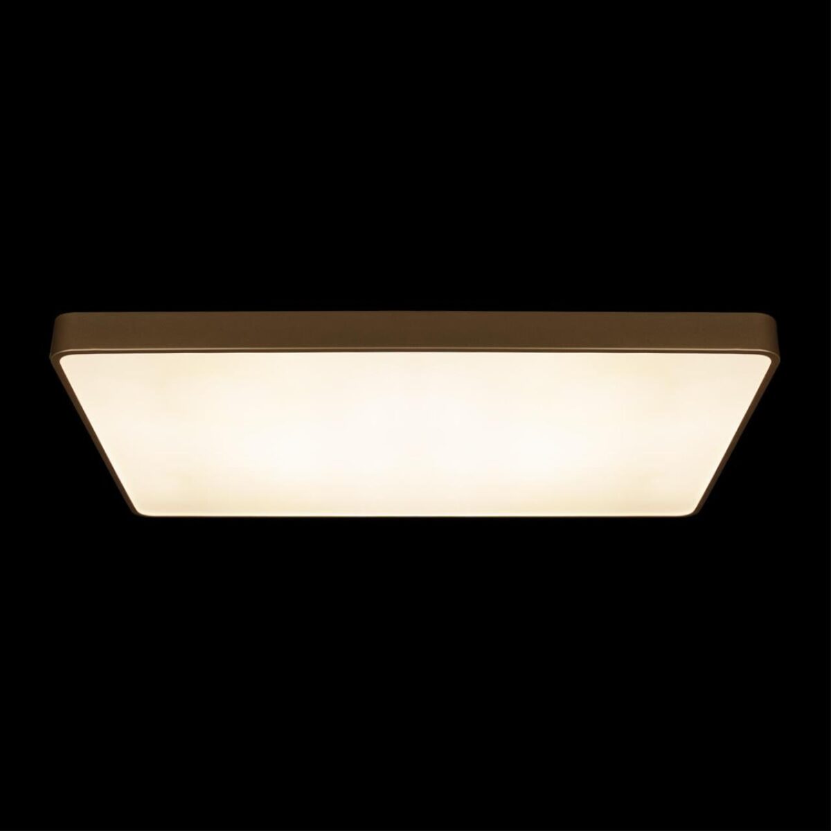 10228/E Потолочный светильник LOFT IT Flims — изображение 6