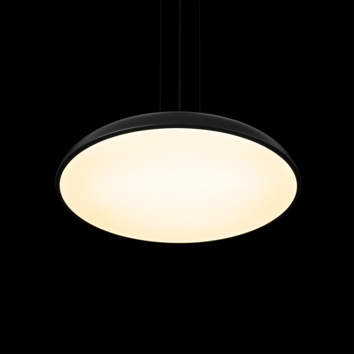 10371P Black Подвесной светильник LOFT IT Dime — изображение 4