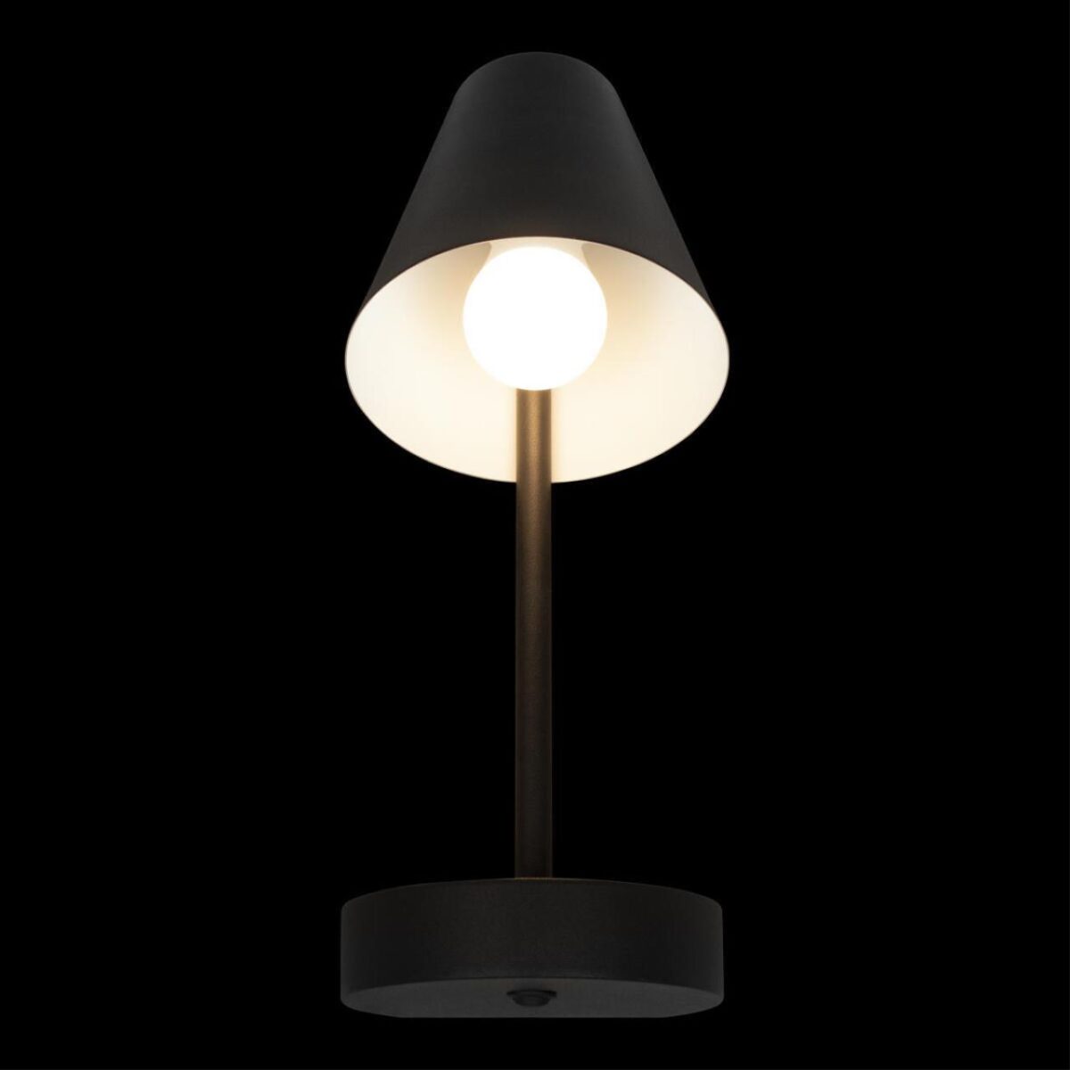 10216/1W Black Настенный светильник LOFT IT Shelf — изображение 2