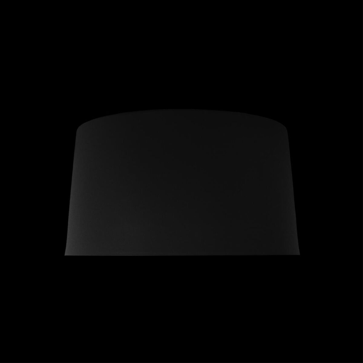 10360S Black Потолочный светильник LOFT IT Duo — изображение 4