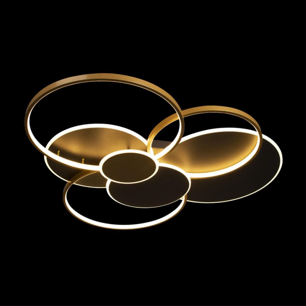 10163 Black Потолочный светильник LOFT IT Megan — изображение 2