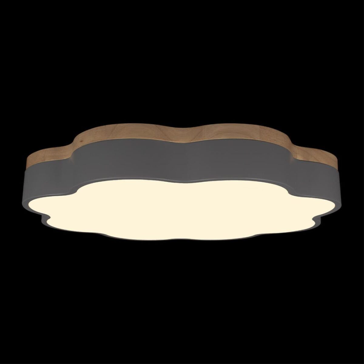 10225/36 Grey Потолочный светильник LOFT IT Axel — изображение 4