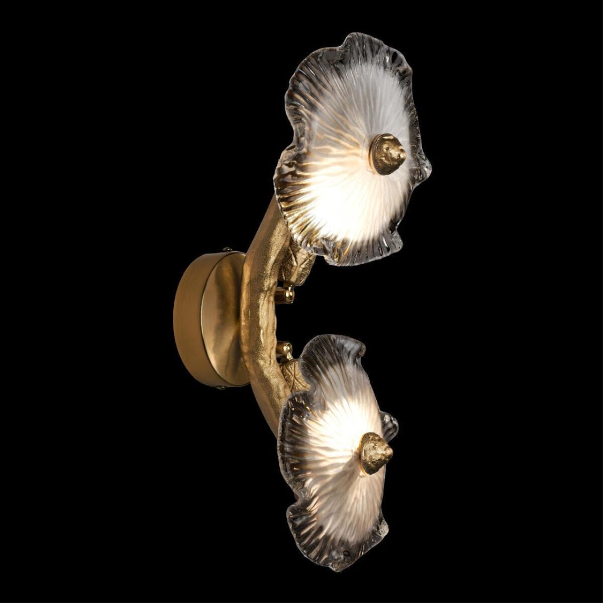 10352/2W AB Бра LOFT IT Bloom — изображение 6