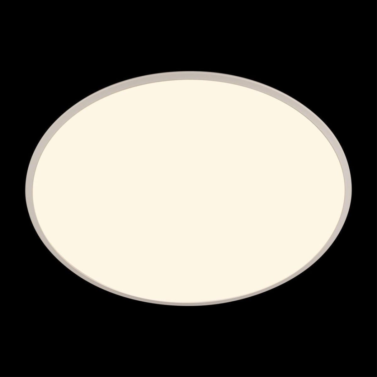 10226 White Потолочный светильник LOFT IT Brim — изображение 6