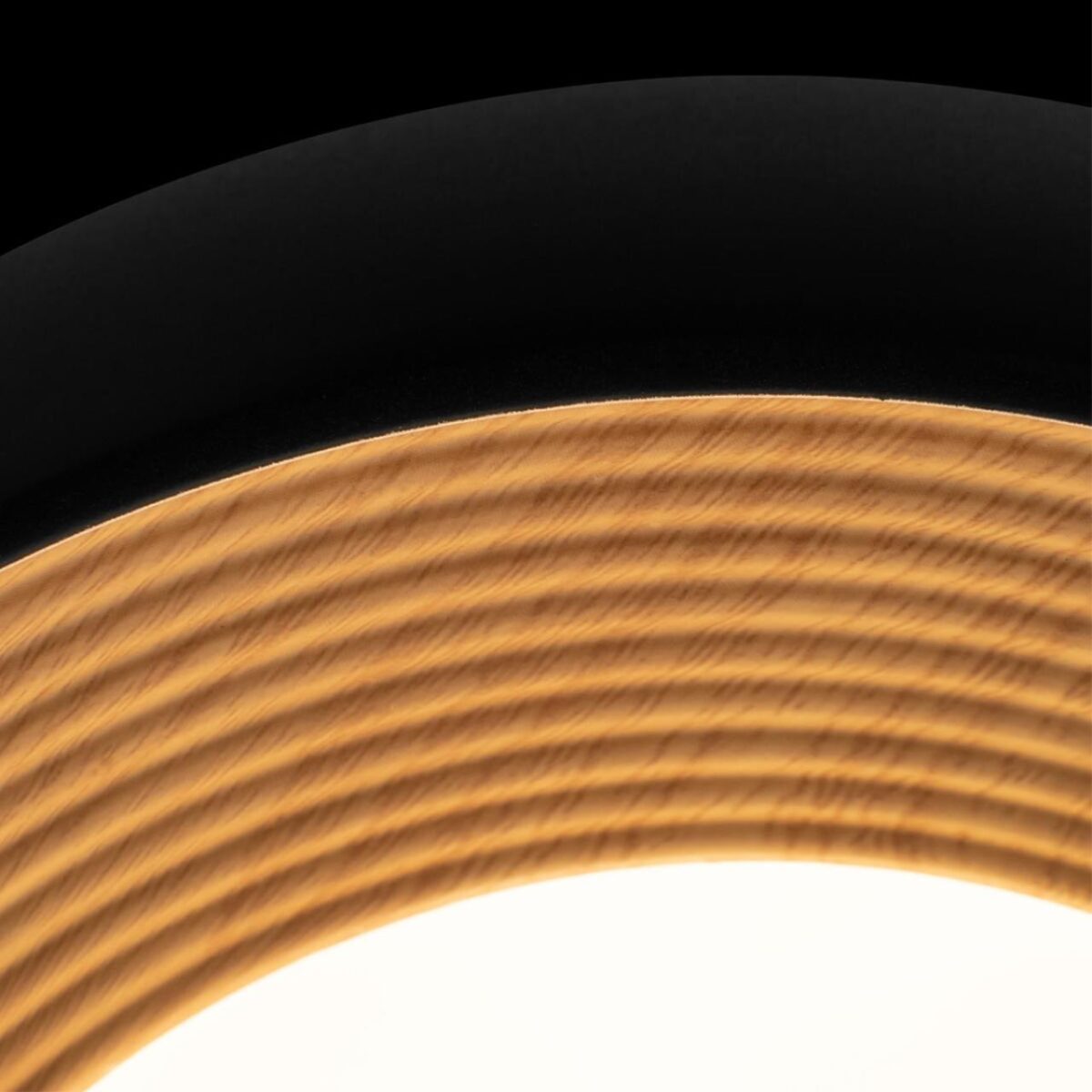 10255/350 Black Потолочный светильник LOFT IT Folk — изображение 5